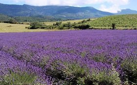Le Cigalou - Drome Provencale